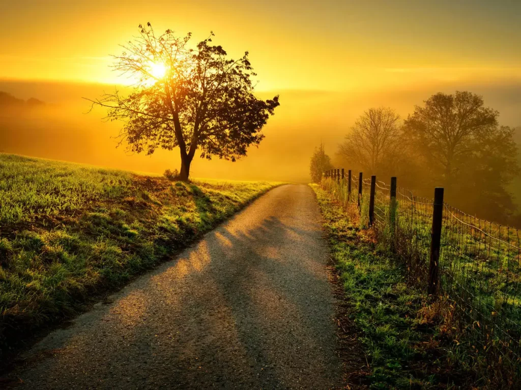 The Ultimate 7-Step Morning Routine for Teen Success: Start Your Day Like a Pro