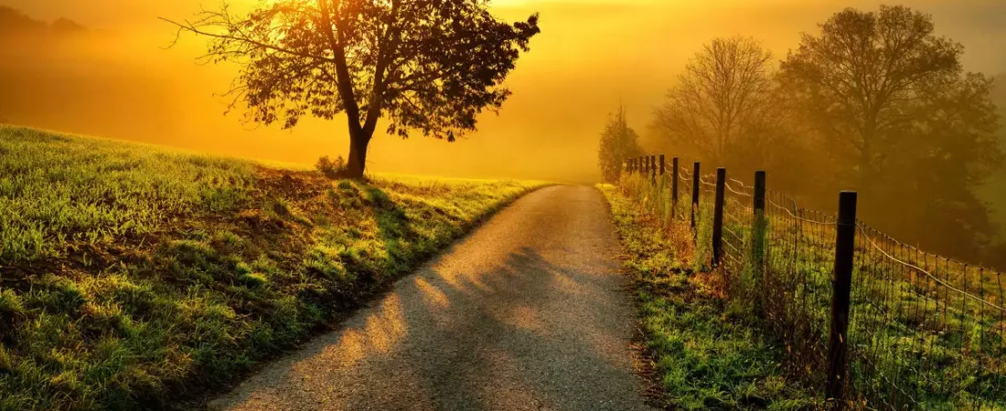 The Ultimate 7-Step Morning Routine for Teen Success: Start Your Day Like a Pro